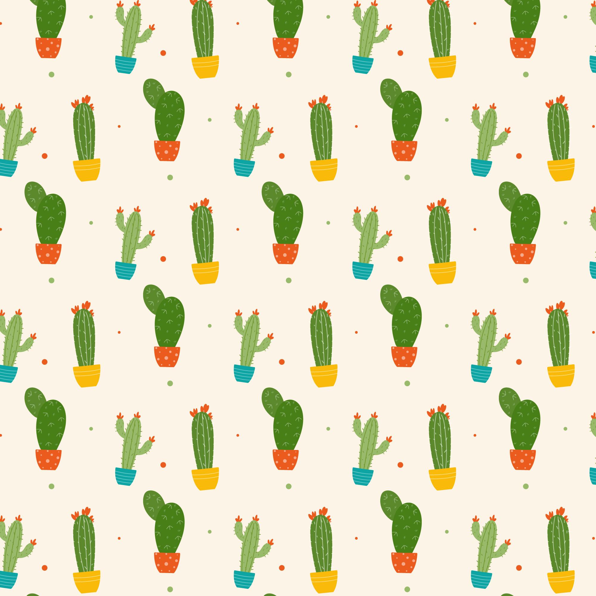 드림센터 이미지